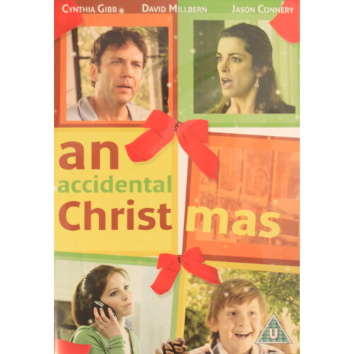 An Accidental Christmas [DVD]