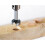 wolfcraft Wolfcraft 3328000 48 x 90mm forstner Drill with 10mm Shank 3