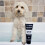 Animology White Wash White Dog Shampoo 250ml 3