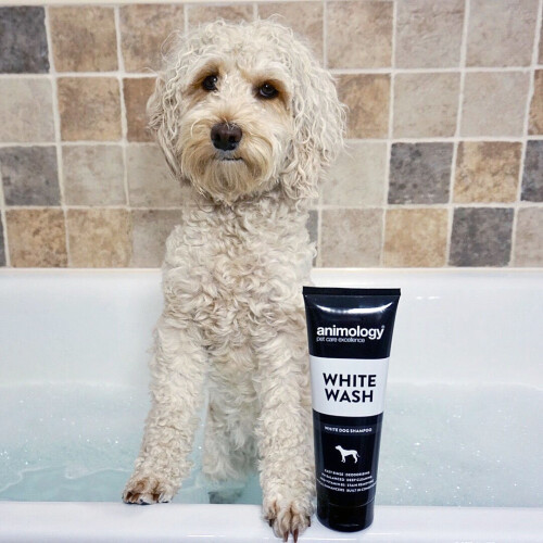 Animology White Wash White Dog Shampoo 250ml 2