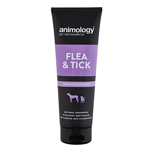 Animology Flea & Tick Dog Shampoo 250ml