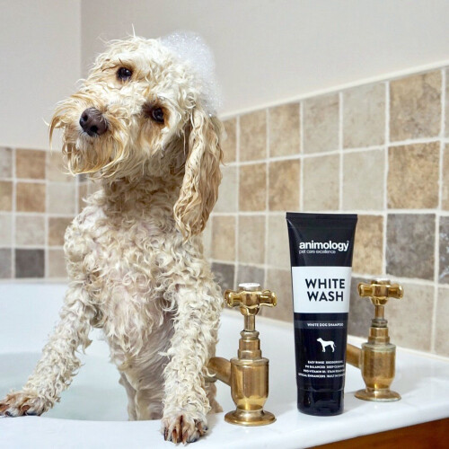 Animology White Wash White Dog Shampoo 250ml 1