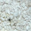 Lucky Reptile HR-2 HatchRite, 2 Litre 2