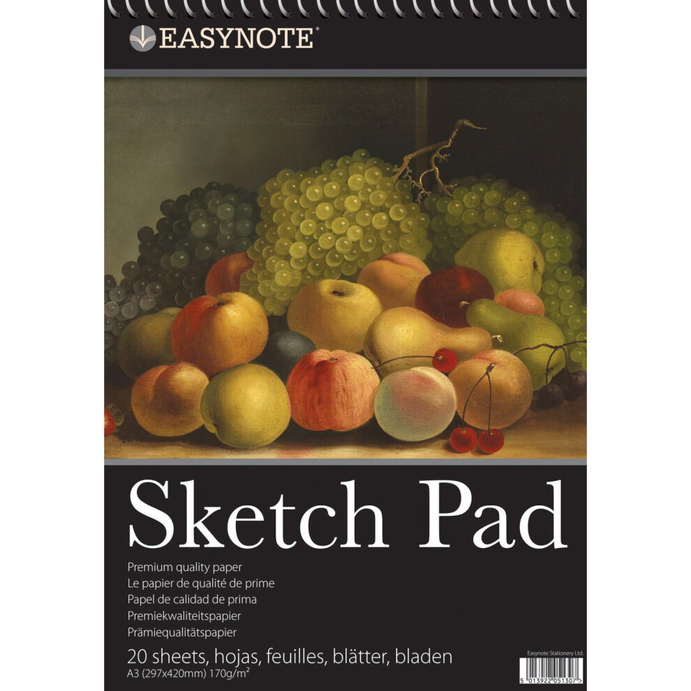 Easynote A3 Artists Sketch Pad (Design may vary)