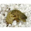 Lucky Reptile HR-2 HatchRite, 2 Litre 3
