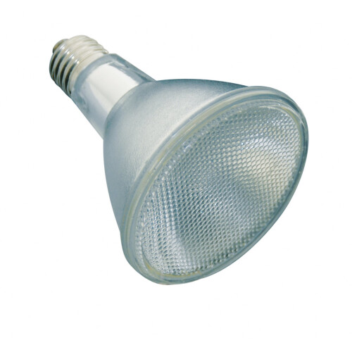 Lucky Reptile BSD-70 Bright Sun UV Desert, 70 Watt 1