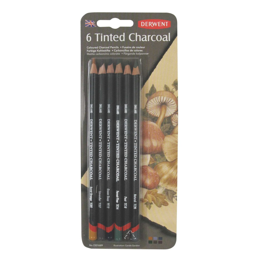 Derwent Tinted Charcoal Drawing Pencils, Set of 6, Watersoluble, Professional Quality, 2301689