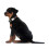 Hunter HUNTER Alu Strong Collar, Large, Brown 5