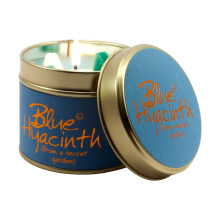 Lily Flame Hyacinth Tin, Blue