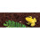 Exo Terra Plantation Soil Substrate, 3 x 8.8 Litre 2