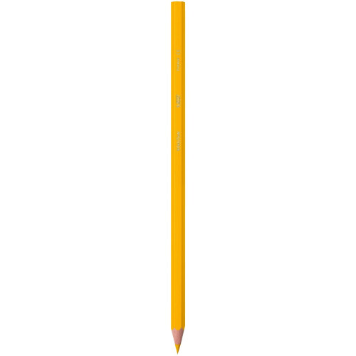BIC BIC Kids Evolution ECOlutions Colouring Pencils - 24 Assorted Colours, Tin Pot of 60 2