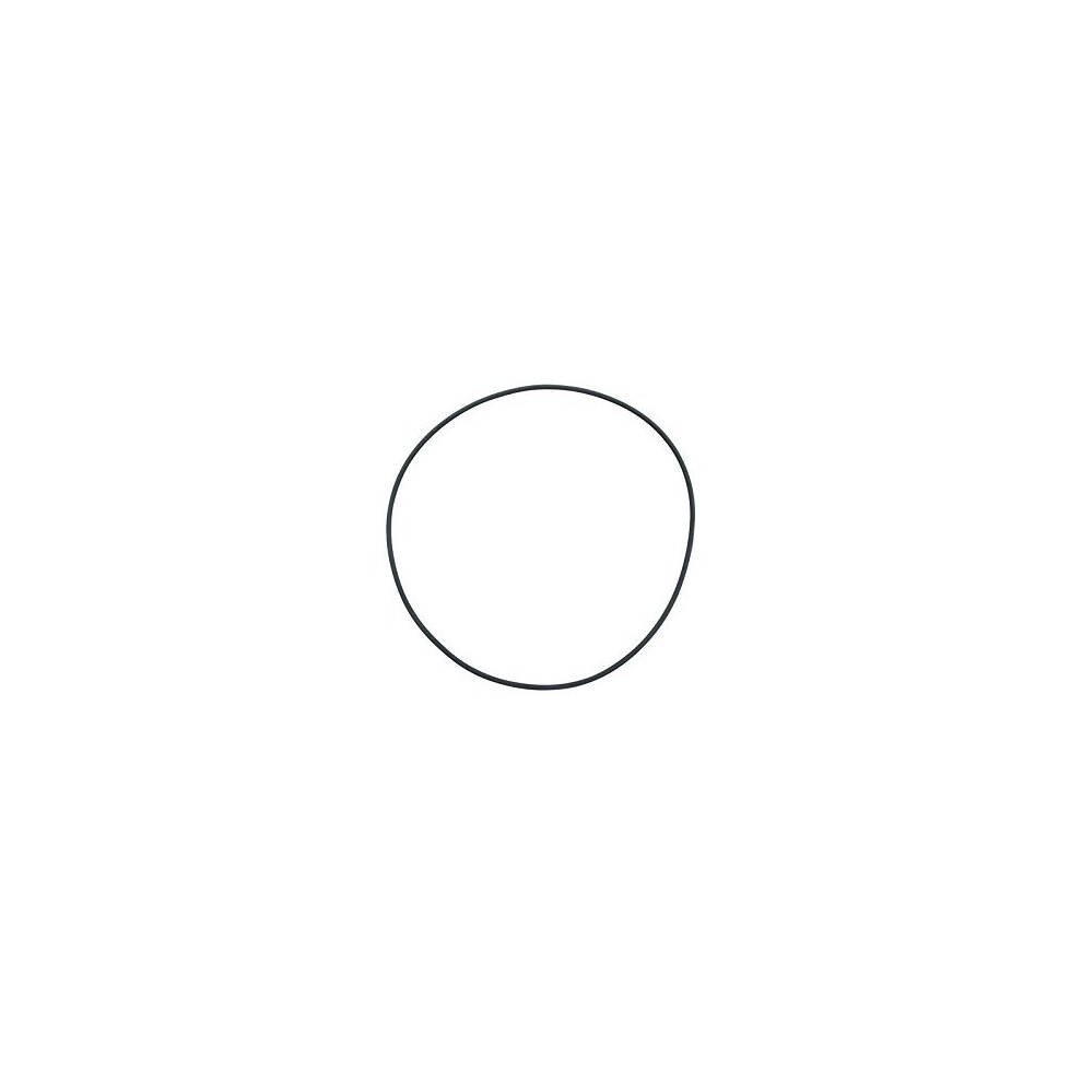 Fluval O-Ring Seal for Filter Cover FX5