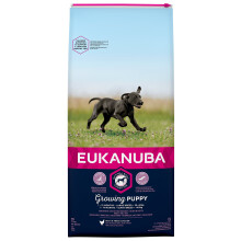 Eukanuba Puppy/Junior Dry Dog Food Large Breed Chicken, 5 kg