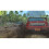 Sega - XBOX 360 SEGA RALLY 11