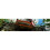 Sega - XBOX 360 SEGA RALLY 10