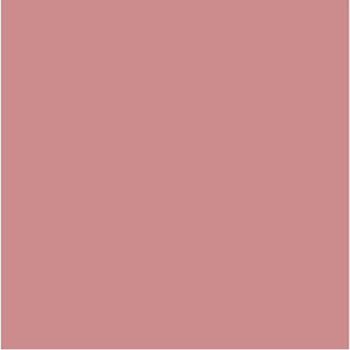 L’Oréal Paris L'Oreal Colour Riche Lipstick 303 Rose Tendre 1