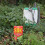 Vitax Vitax SBK Brushwood weedKiller 1 Litre 4