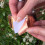 Defenders 4 m Slug and Snail Barrier Tape (Copper Tape, Natural Slug Deterrent, Anti Slug Repellent Strips) 3
