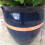 Defenders 4 m Slug and Snail Barrier Tape (Copper Tape, Natural Slug Deterrent, Anti Slug Repellent Strips) 5