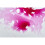 Liquitex Professional Flow Aid, 118 ml 5