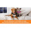 Thundershirt Anxiety Coat for Dog, M, Grey 6