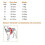 Thundershirt Anxiety Coat for Dog, M, Grey 10