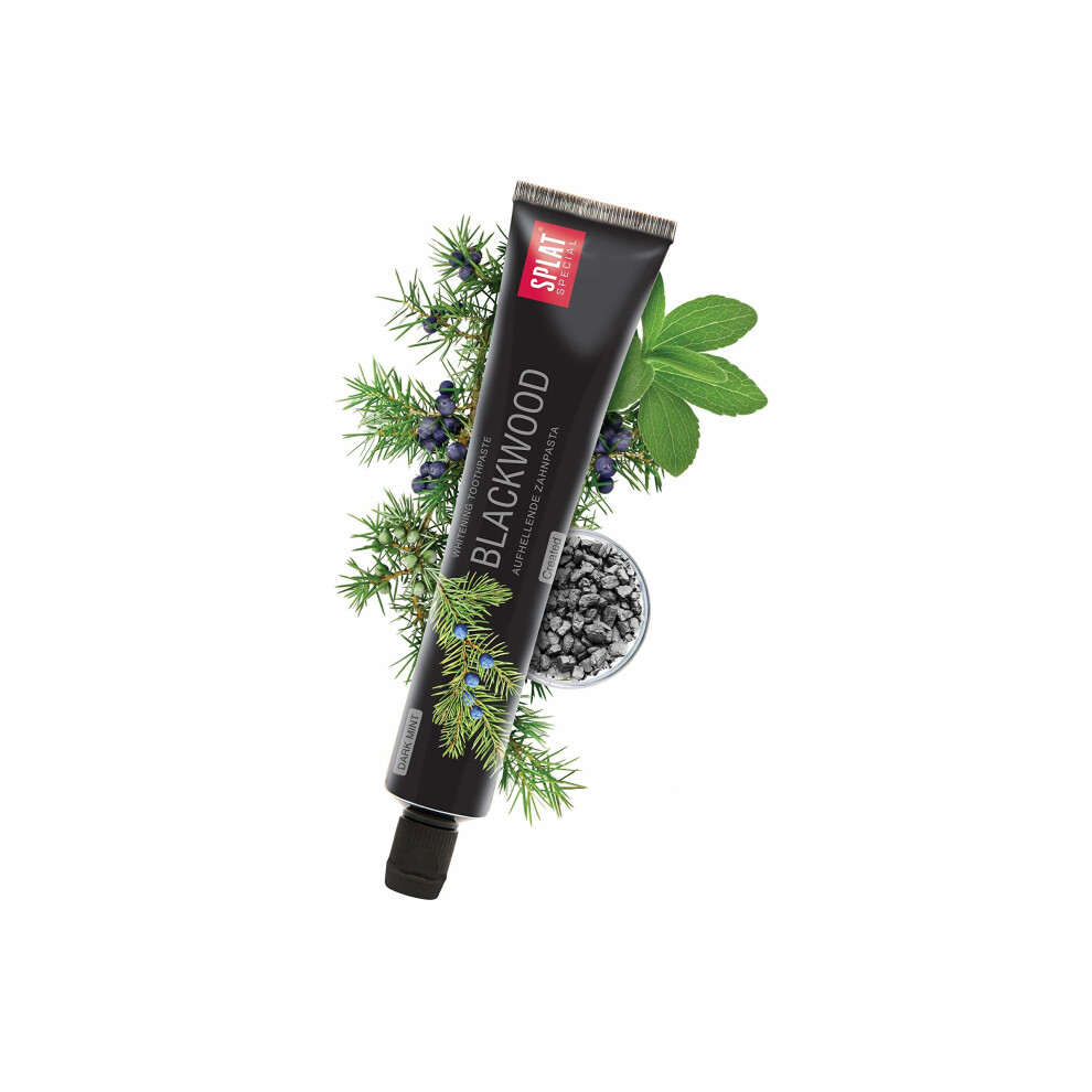 SPLAT Blackwood Charcoal Toothpaste, 75 ml