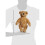 Steiff Steiff 32cm Elmar Teddy Bear (Golden Brown) - Plush Soft Toy 2