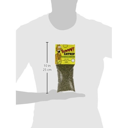 Yeowww YEOWWW Catnip Bags, 1 oz 2