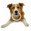 Nylabone Nylabone Durable Ring, Giant 8
