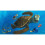 Disney Finding Nemo (2 Disc Collector's Edition) [DVD] [2003] 4