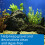 API Stress Zyme Freshwater and Saltwater Aquarium Cleaning Solution, 237 ml 4