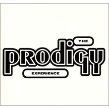 Experience [VINYL]