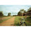 William Eggleston: Election Eve Hardcover 7