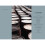 Whisky Classified: Choosing Single Malts by Flavour 3