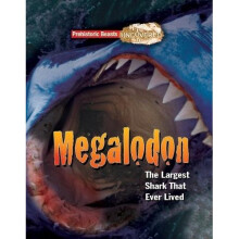 Megalodon: Prehistoric Beasts Uncovered - The Largest Shark That Ever Lived