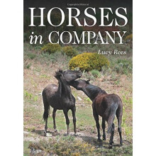 Horses in Company