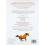 Horse Movement: Structure, Function and Rehabilitation 2