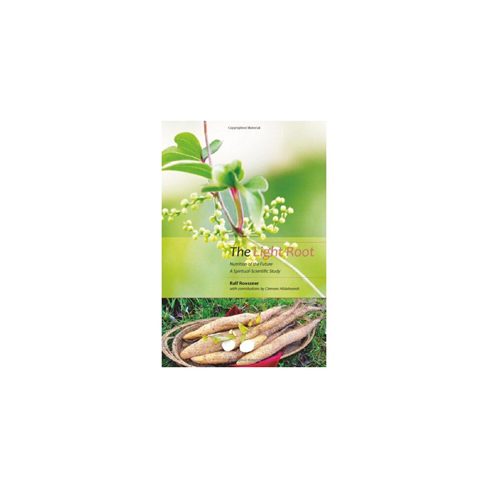 The Light Root by Clemens Hildebrandt (Paperback Book) - Image 7