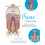 The Psoas Solution: The Practitioner's Guide to Rehabilitation, Corrective Exercise, and Training for Improved Function 1