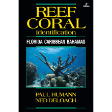 Reef Coral Identification (Reef Set (New World))