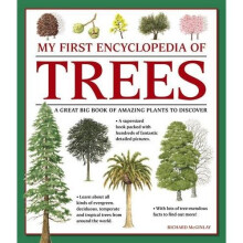 My First Encyclopedia of Trees: A Great Big Book of Amazing Plants to Discover