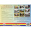 Buses Coaches & Recollections 1969 2