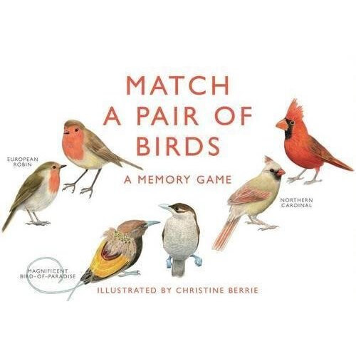 Match a Pair of Birds - Book