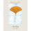 Ginkgo: The Tree That Time Forgot 1