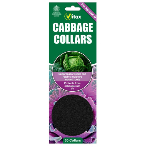 Vitax Vitax Pack of 30 Biodegradeable Cabbage Collars - Protects Brassicas from Cabbage Rot Fly