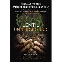 Lentil Underground