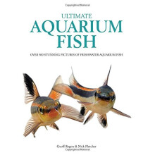 Ultimate Aquarium Fish