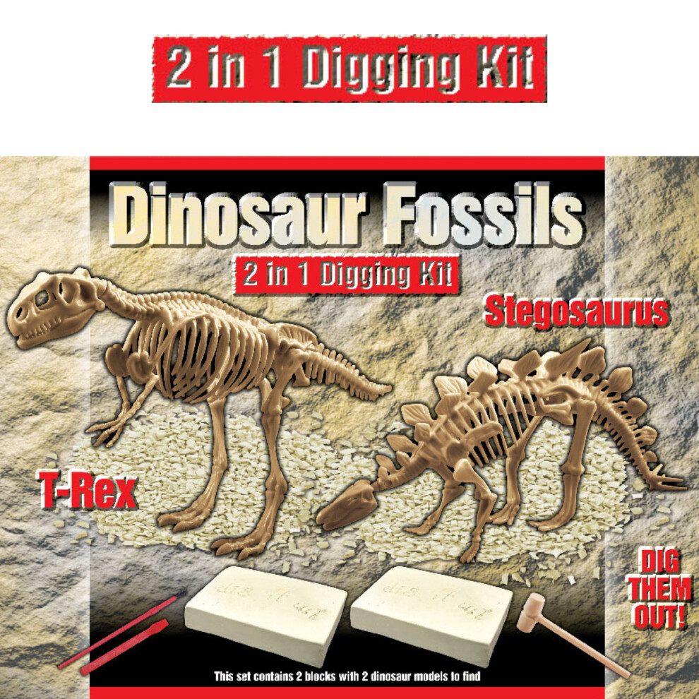 2 IN 1 Deluxe Dig Out Dinosaur Skeleton Fossil Palaeontology Archaeology Excavation Kit - T Rex AND Stegosaurus