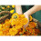 Weleda Weleda Calendula Soap 100g 5